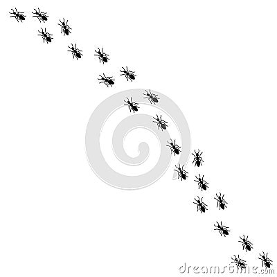 Vector black ants silhouette marching in a line Vector Illustration