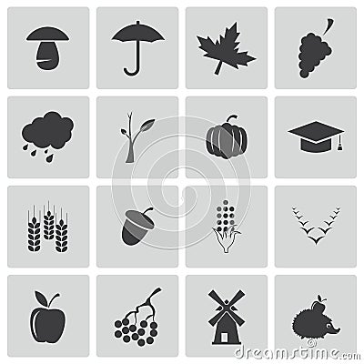 Vector black autumn icons set Vector Illustration