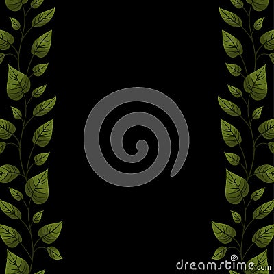 Vector black background with green ivy. Vector Illustration