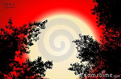 Vector black contour of tree leaves on red sunset background Vector Illustration