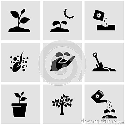 Vector black growing icon set Stock Photo