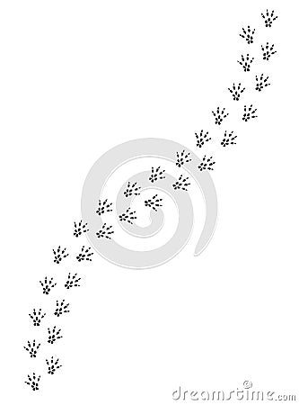 Vector black rat mouse foot print path Stock Photo