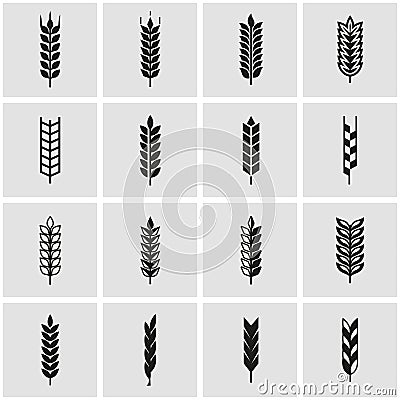 Vector black wheat ear icon set Stock Photo