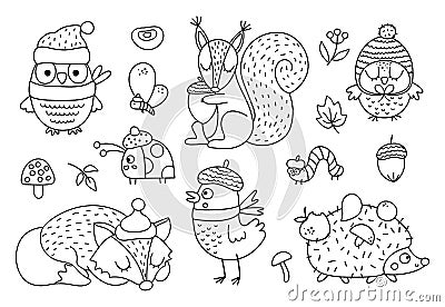 Vector black and white Autumn forest animals and insects set. Cute outline hedgehog, squirrel, fox, owl in hats and scarves. Vector Illustration
