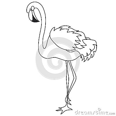 Vector Black and White Beautiful Elegant Flamingo Vector Illustration
