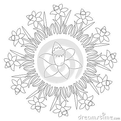 Vector black and white round spring mandala with flower daffodil - adult coloring book page Vector Illustration