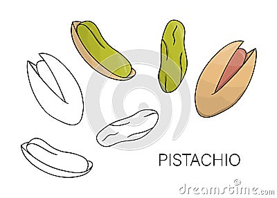 Vector black and white and colored pistachio icon. Set of isolated nuts. Food illustration in cartoon or doodle style isolated on Vector Illustration