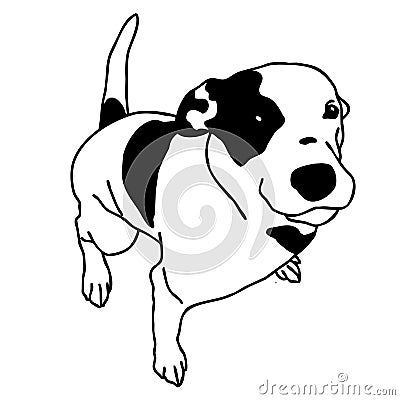 Vector black and white dog sitting. Smart and darling doggie. Vector Illustration