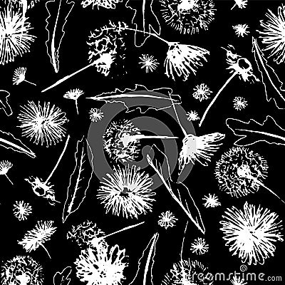 Vector black and white floral dandelions blowballs and daisies seamless pattern background Stock Photo