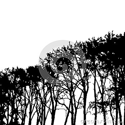 Vector black and white high trees' silhouettes design element Vector Illustration