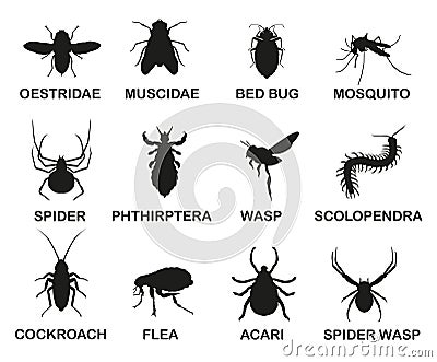 Vector black and white icons of various insects. Insects that harm people Vector Illustration