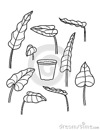 Vector black and white line illustration of houseplants. Cartoon Illustration