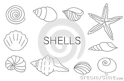 Vector black and white set of sea shells Vector Illustration