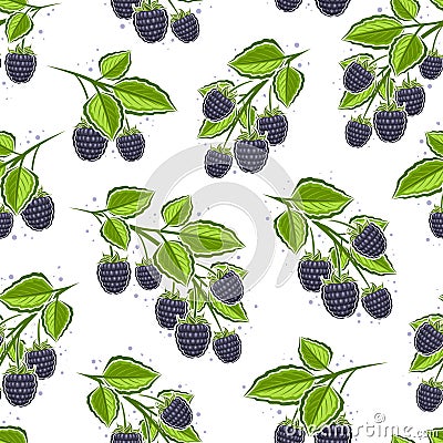 Vector Blackberry Branches Vector Illustration