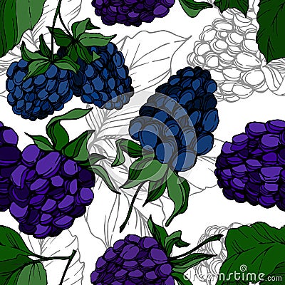 Vector Blackberry healthy food. Black and white engraved ink art. Seamless background pattern. Vector Illustration