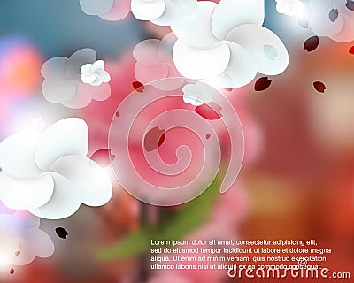 Vector blurred realistic cherry blossom flower background Stock Photo