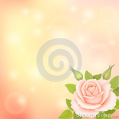 Vector blurry soft background with rose Vector Illustration