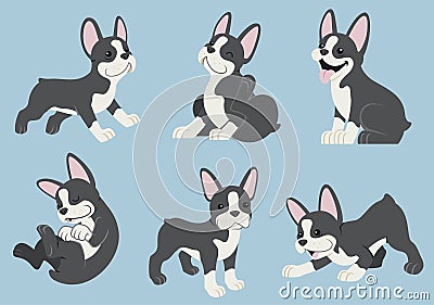 Boston terrier dog set Vector Illustration