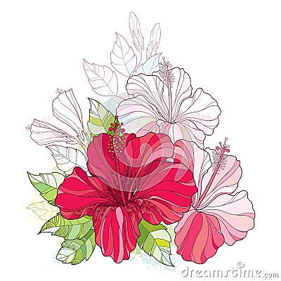 Vector bouquet with Chinese Hibiscus or Hibiscus rosa-sinensis in red and pastel. Flower, bud and leaves . Vector Illustration