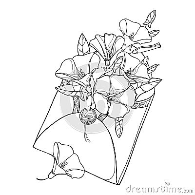 Vector bouquet with outline Convolvulus or Bindweed, ornate leaf and bud in open craft envelope in black isolated on white. Vector Illustration