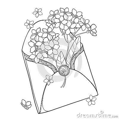 Vector bouquet with outline Forget me not or Myosotis flower in opened black craft envelope isolated on white background. Vector Illustration