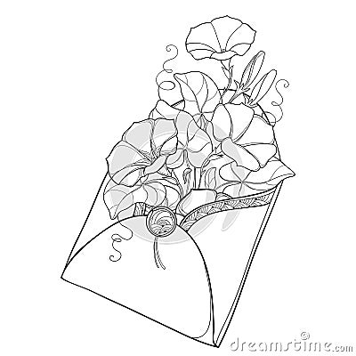 Vector bouquet with outline Ipomoea or Morning glory flower and leaf in open craft envelope in black isolated on white background. Vector Illustration