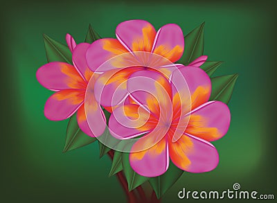 Vector branch of tropical pink flowers Vector Illustration