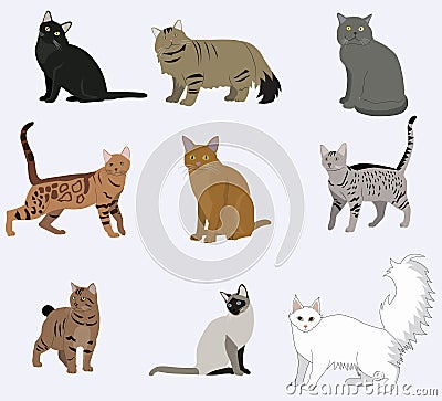 Vector breed cats icons set. Vector Illustration