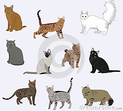 Vector breed cats icons set. Vector Illustration