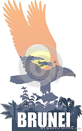 Vector Brunei with white bellied sea eagle Vector Illustration