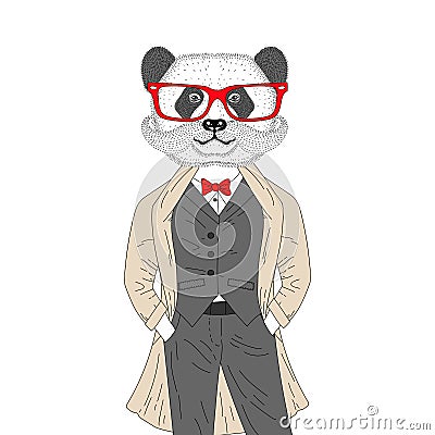 Vector brutal panda in elegant classic suit with coat. Hand draw Vector Illustration