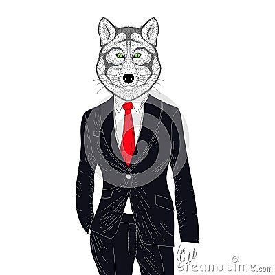 Vector brutal wolf in elegant classic suit. Hand drawn anthropomorphic grizzly. Illustration for t-shirt print, kids greeting car Vector Illustration