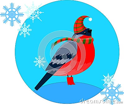 Vector bullfinch in hats and boots with circle blue background Vector Illustration