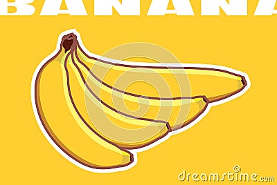 Vector bunch of bananas of different shapes. Four ripe yellow bananas drawn in a flat design Vector Illustration