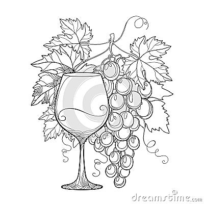 Vector bunch of grape, ornate grape leaves and wineglass in black Vector Illustration