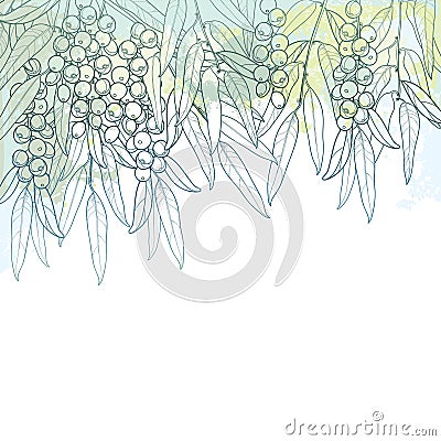 Vector bunch with outline Elaeagnus or silverberry or oleaster tree. Twig with fruit bunch and ornate leaf in pastel silver green. Vector Illustration