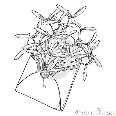 Vector bunch of outline Mistletoe with leaves and berry in open craft envelope in black isolated on white background. Vector Illustration