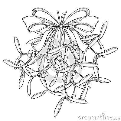 Vector bunch with outline Mistletoe and ornate bow with ribbon isolated on white background. Leaves, berry and branch of Mistletoe Vector Illustration