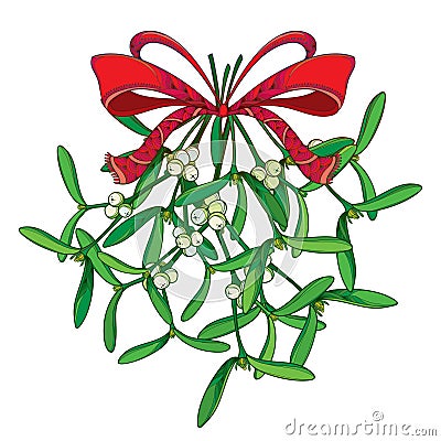 Vector bunch with outline Mistletoe and ornate red bow with ribbon isolated on white. Green leaves, berry and branch of Mistletoe. Vector Illustration