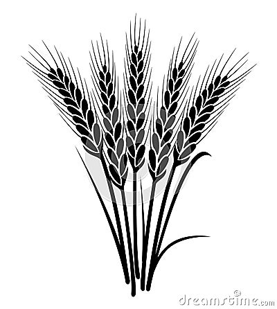 vector bunch of wheat ears Vector Illustration