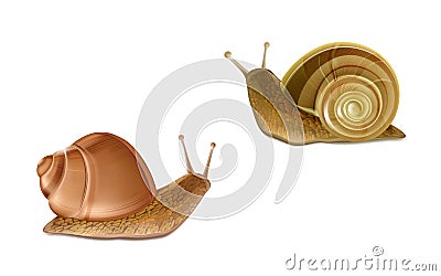 Vector Burgundy, Roman snails. French cuisine delicatessen Vector Illustration