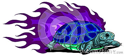 Vector Burmese star tortoise on white background Vector Illustration