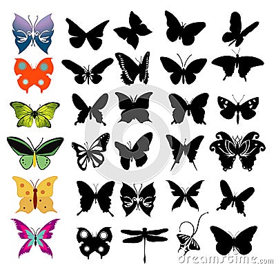 Vector butterflies Cartoon Illustration