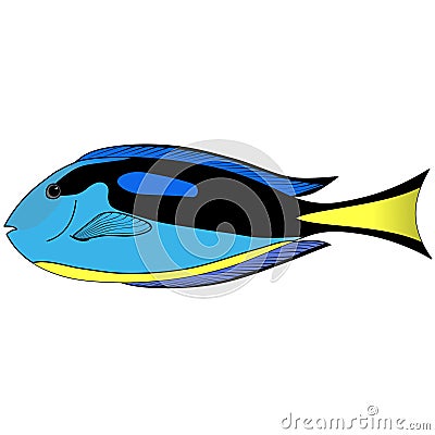 Vector Butterfly blue Fish Vector Illustration