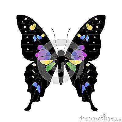 Vector butterfly illustration Vector Illustration