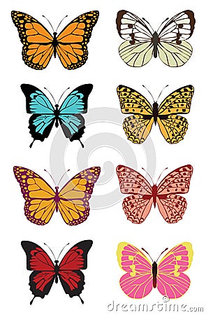 Vector butterfly set Vector Illustration