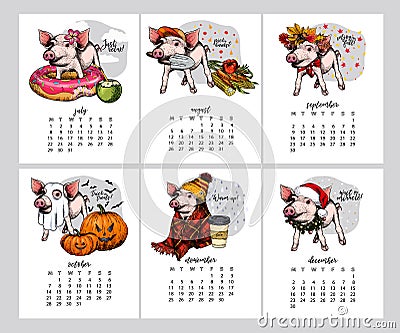 Vector calendar with year symbol. Six month pig. July, August, September, October, November, December planner. Summer Vector Illustration