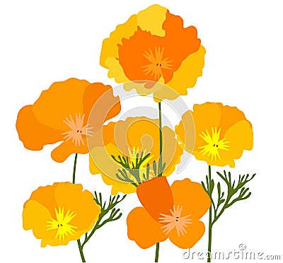 Vector California Poppies Abstract Background. Vector Illustration