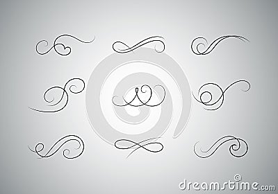 Vector Calligraphic Flourishes Vector Illustration