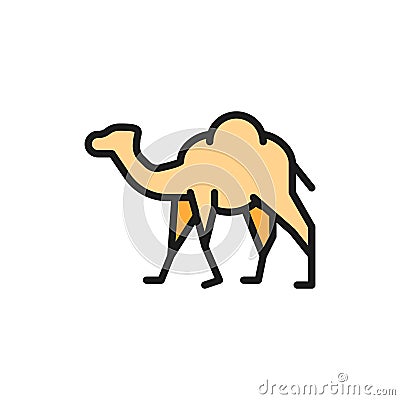Vector camel, caravan, desert animal flat color line icon. Vector Illustration
